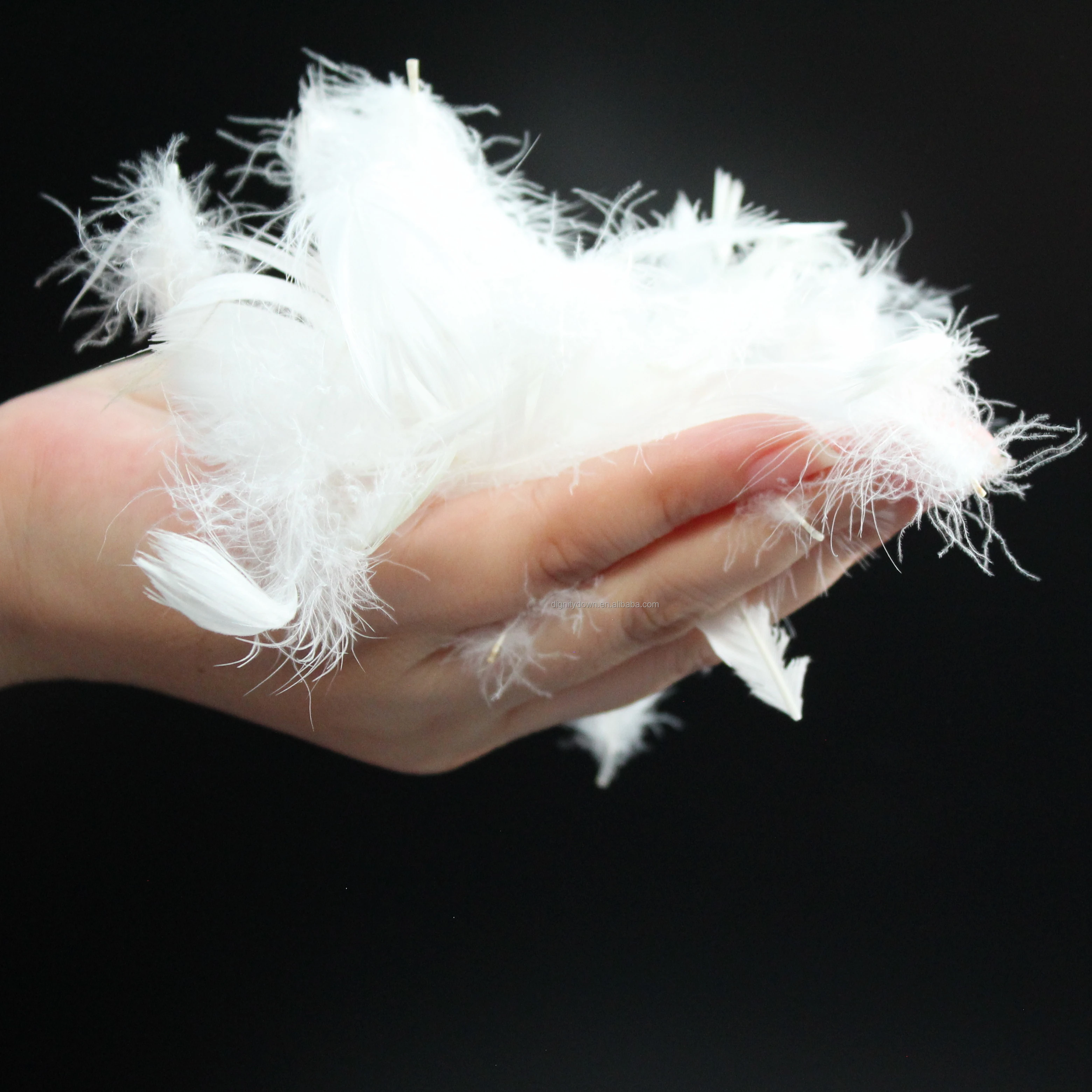 Wholesale Natural Softer White KEEP WARM Breathable  Goose Down Feathers   DUVIT Dry Goose Feather Goose Filling