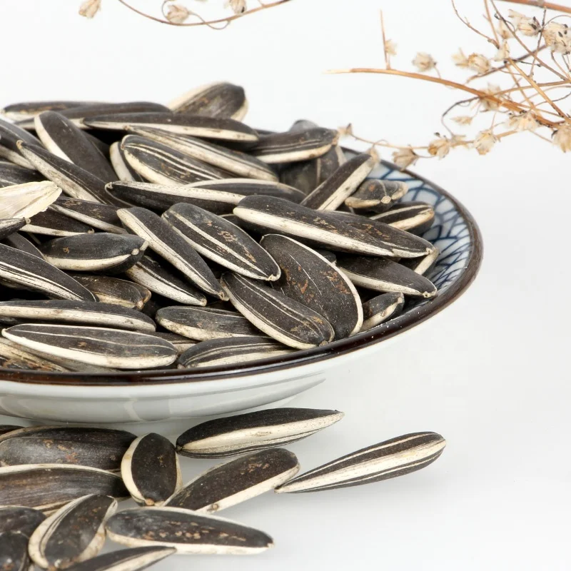 Wholesale China New Type Big Size  Sunflower kernels Seeds green sunflower seeds