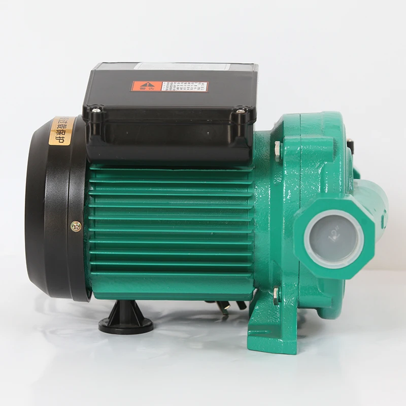 
0.12hp small pump RUD Series electric water pump price india 