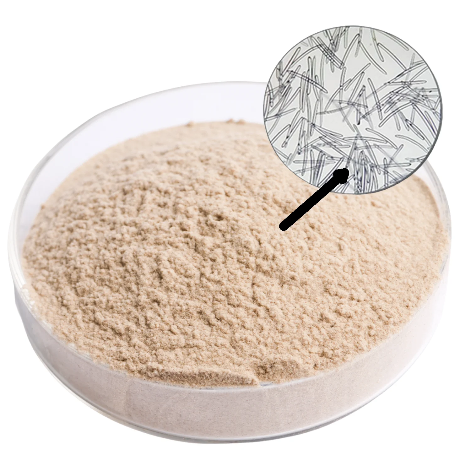 Cosmetic Grade 80% Natural sponge powder spongilla powder for Japan cosmetic factory 100g