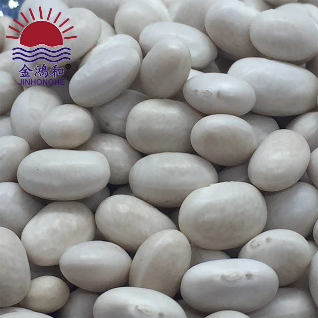 Superfine quality quality kidney beans/butter bean/white bean