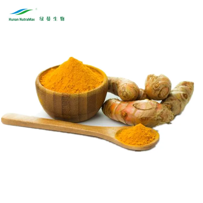 China Manufacturer Curcuma Longa Root Extract Powder 95% Curcuminoids