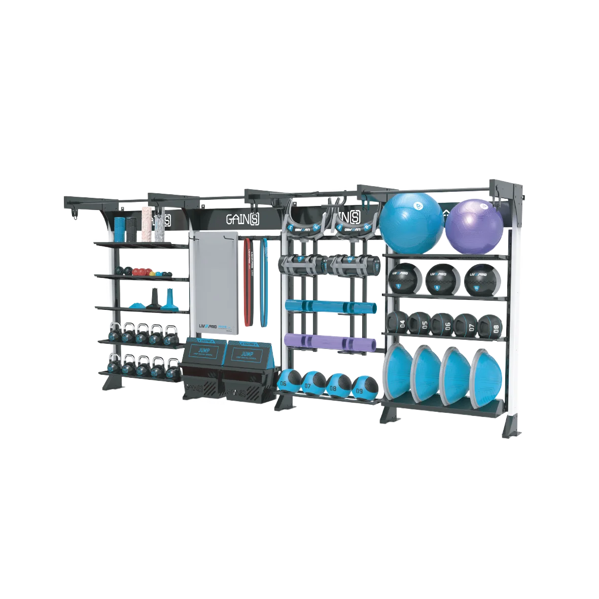 LIVEPRO GYM Commercial Storage Rack with Bulgarian Power Bag Multifunction Gym Fitness Storage Rack for Medicine Wall ball