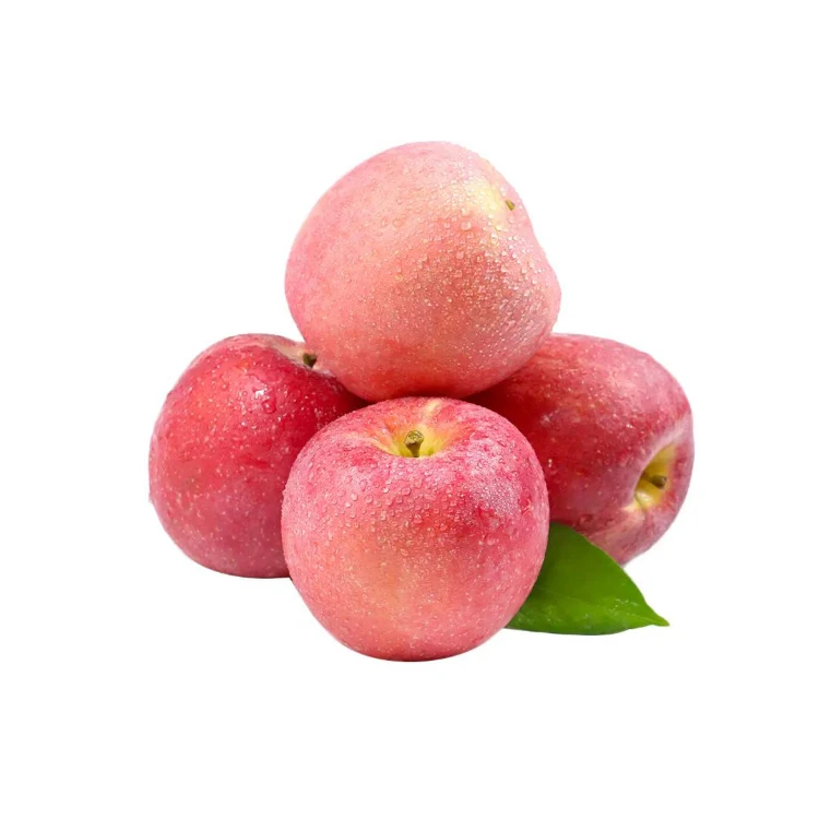 Comprehensive Nutrition wholesale distributors fresh red fuji apple fruit