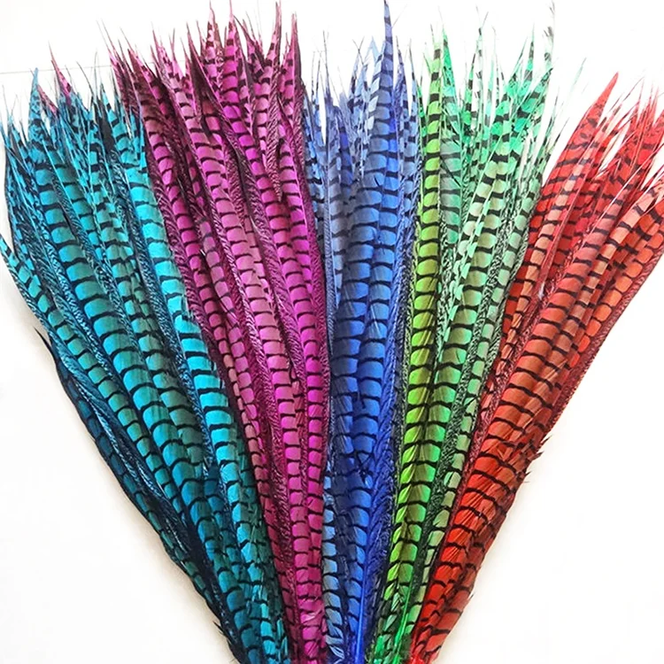 Customized High Quality Bleached Dyed Lady Amherst Pheasant Tail Feathers