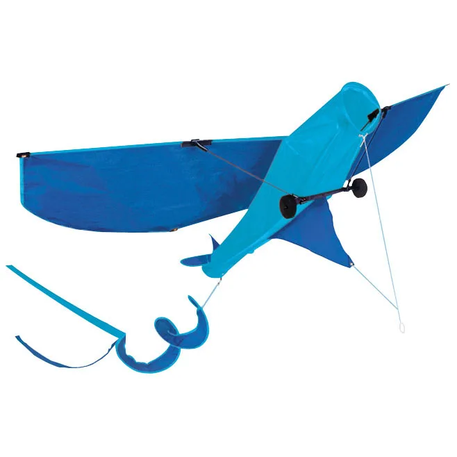 
A3D1009 High quality professional color double line Sport kite for Outdoor 