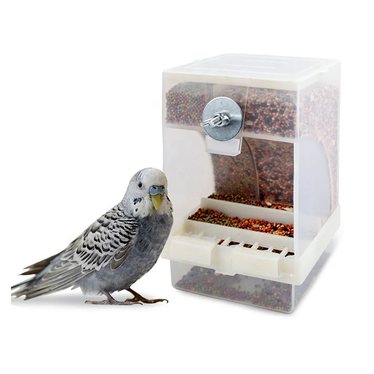Оптовая продажа, прозрачные кормушки для попугаев «сделай сам» без беспорядка, большой попугай, дикий голубь, кормушки для попугаев, миска