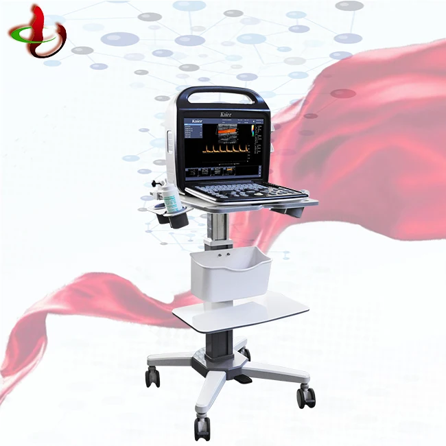 3D CW Portable Ultrasonic Flow Meter Color Doppler Blood Flow Monitor Ultrasound