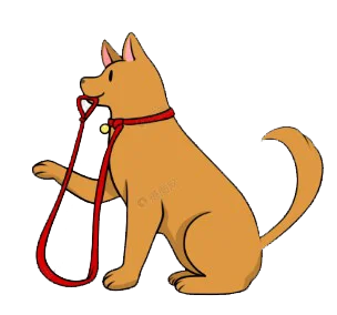 Custom Logo Print Adjustable Size Smart Teddy Dog Collar And Leashes Set