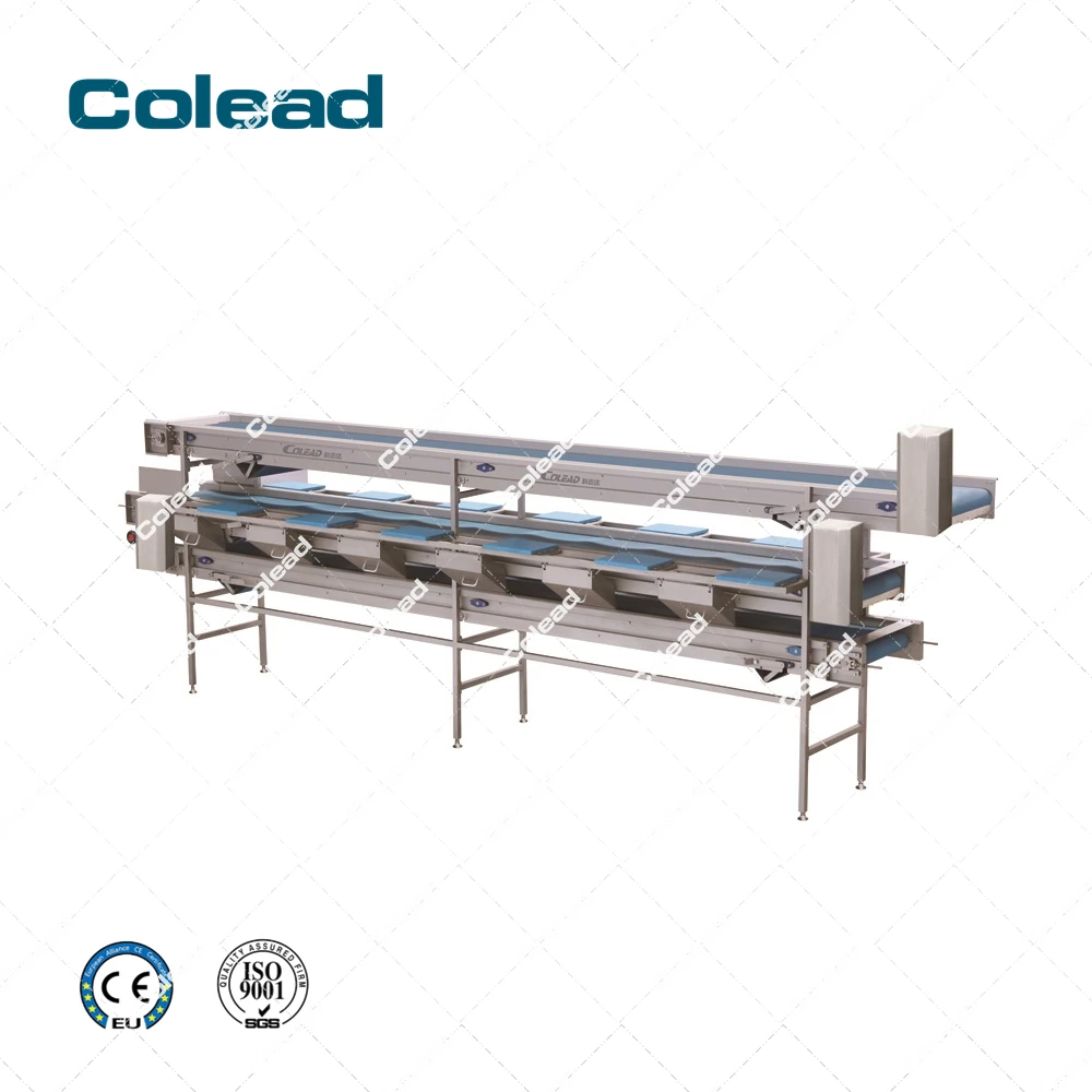 Colead factory direct  4 station vegetable manual picking station for food industry