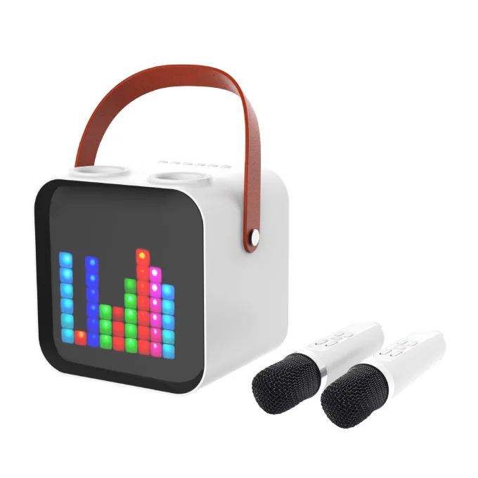 Portable Karaoke Machine LED Screen BT5.0 Wireless karaoke speaker with wireless microphone