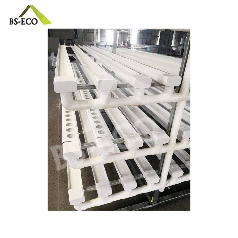 Hydroponic multi-tiered Growing System being used in a large greenhouse.