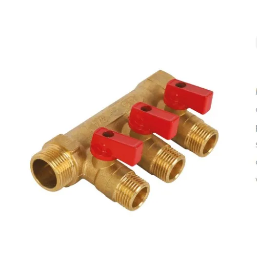 Manifolds With Valves -Blue Handle