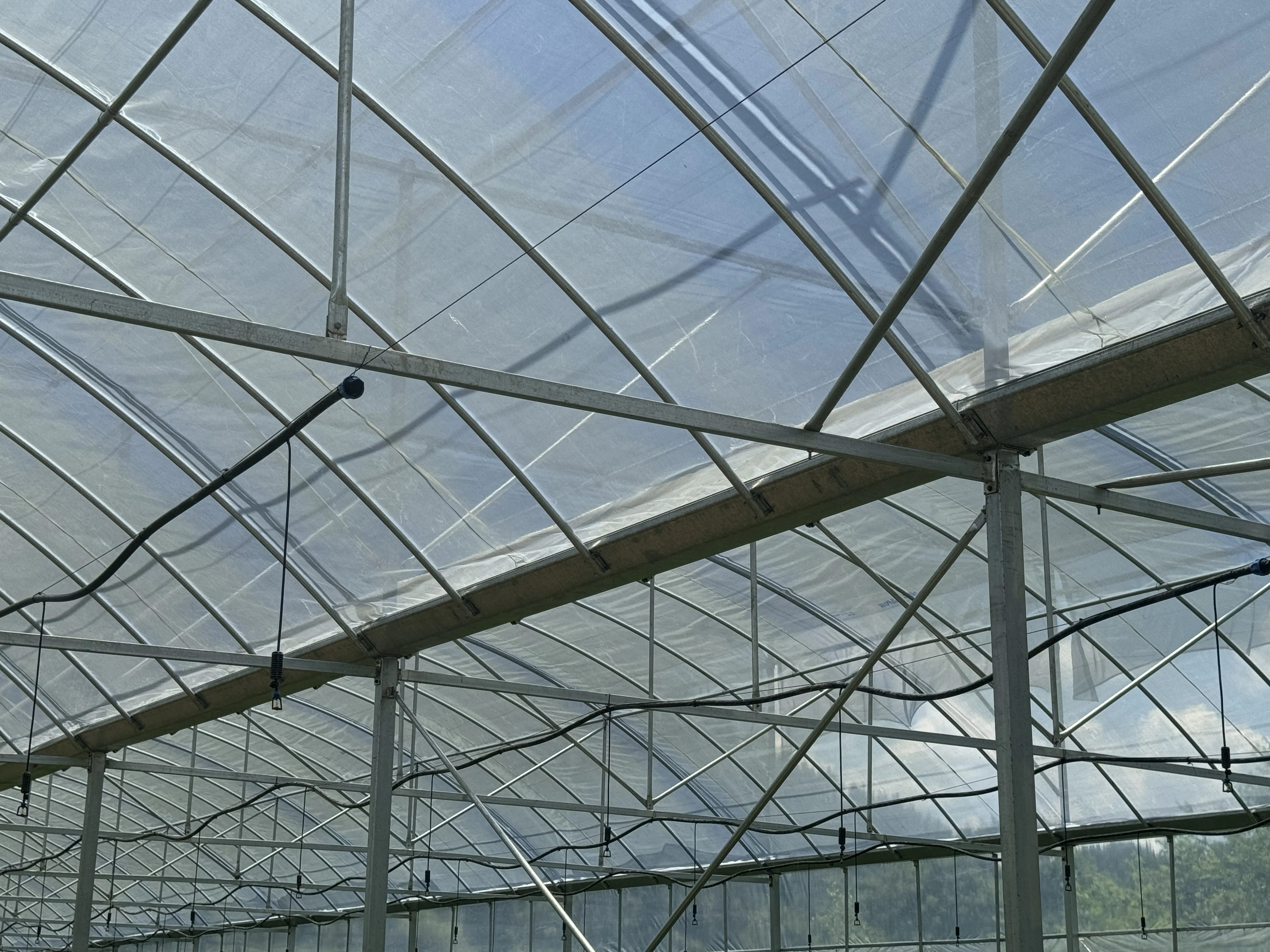 Factory Wholesale Agricultural Greenhouse Parts 2.0mm Thickness Hot-dip Galvanized Material Side Gutter Gutters