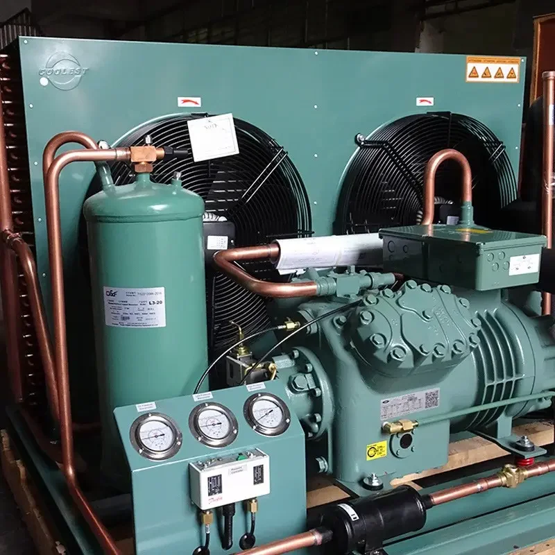 Single Phase Gas R404 Bitze Refrigeration Compressor 25hp 20hp 30hp 15hp 12hp 10hp Freezer Cold Room Industrial Condensing Unit