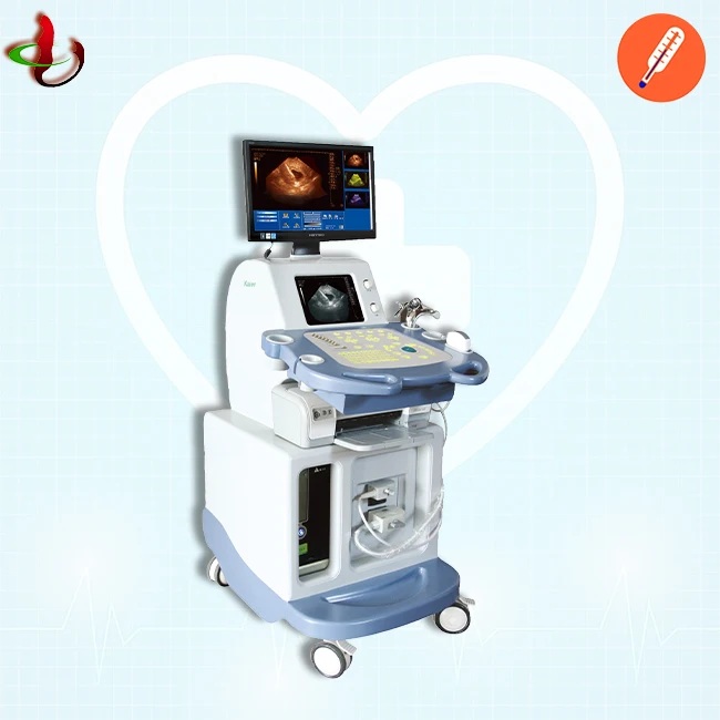 Низкая цена, тележка с двойным экраном, черно-белая ультразвуковая машина, полностью цифровая