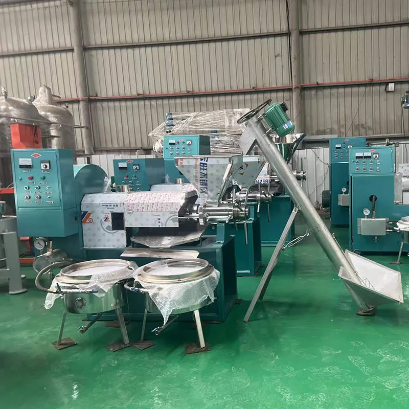 Automatic professional factory price peanut essential oil screw cold oil press machine production line