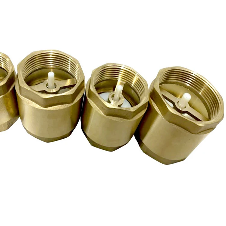 Support samples Thread Brass Water Vertical Spring Stainless Non Return Valve