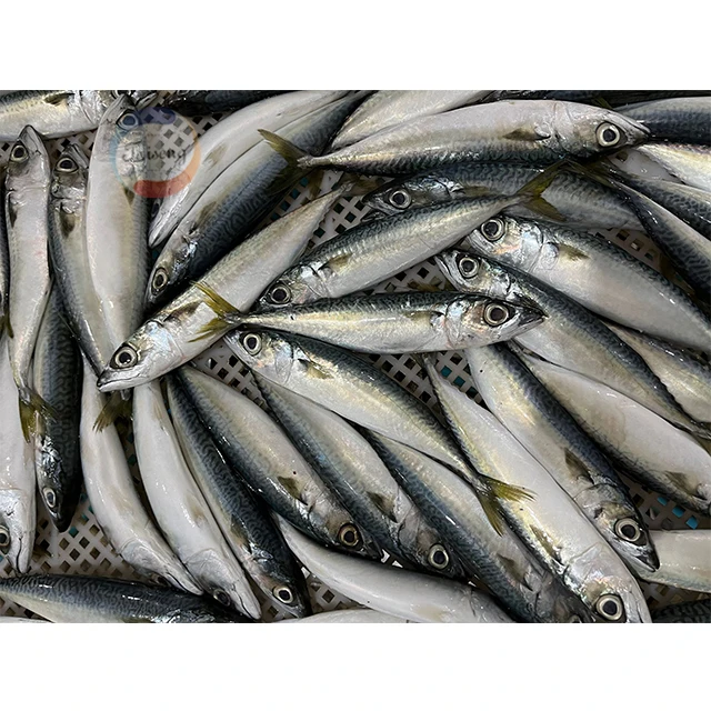 Морская замороженная Тихоокеанская скумбрия (scomber japonicus), цельная круглая замороженная скумбрия