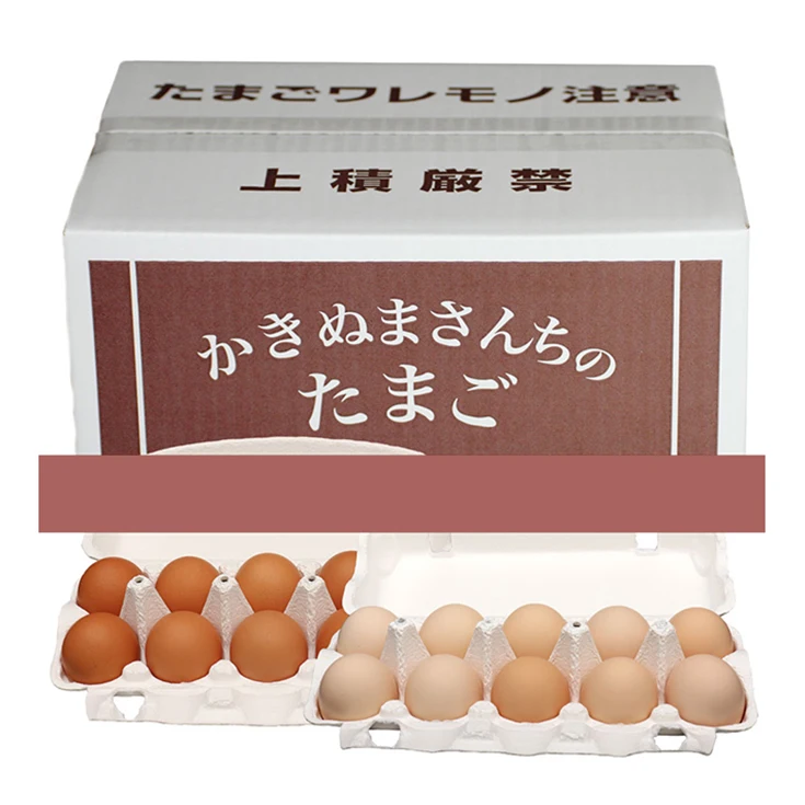 Highly nutritious Japan chickens freshstorage packaging egg box