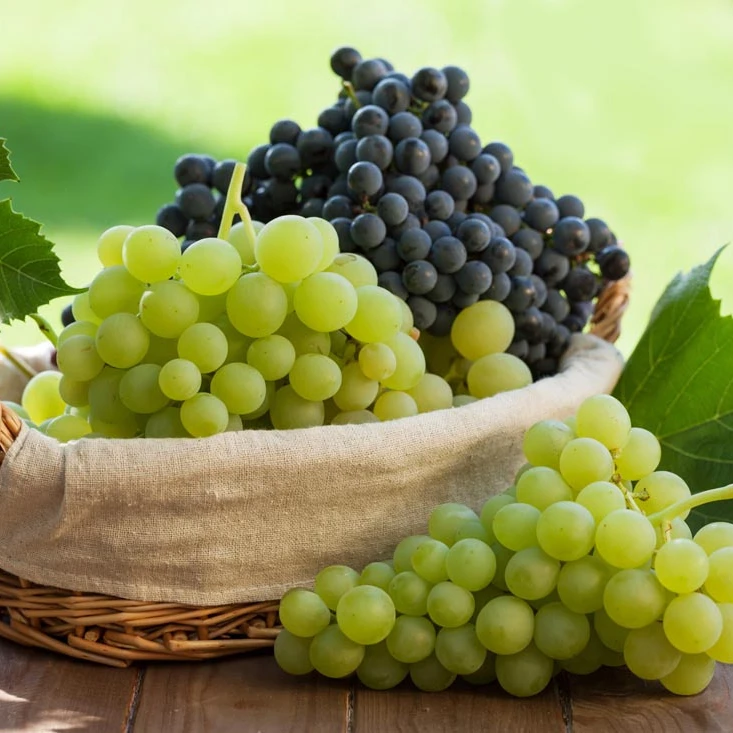 
export fresh fruit Sweet fresh red Red grape/Green grape/Bulk grape at wholesale price 