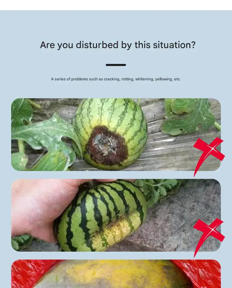 Садовые опоры для выращивания дыни из тыквы