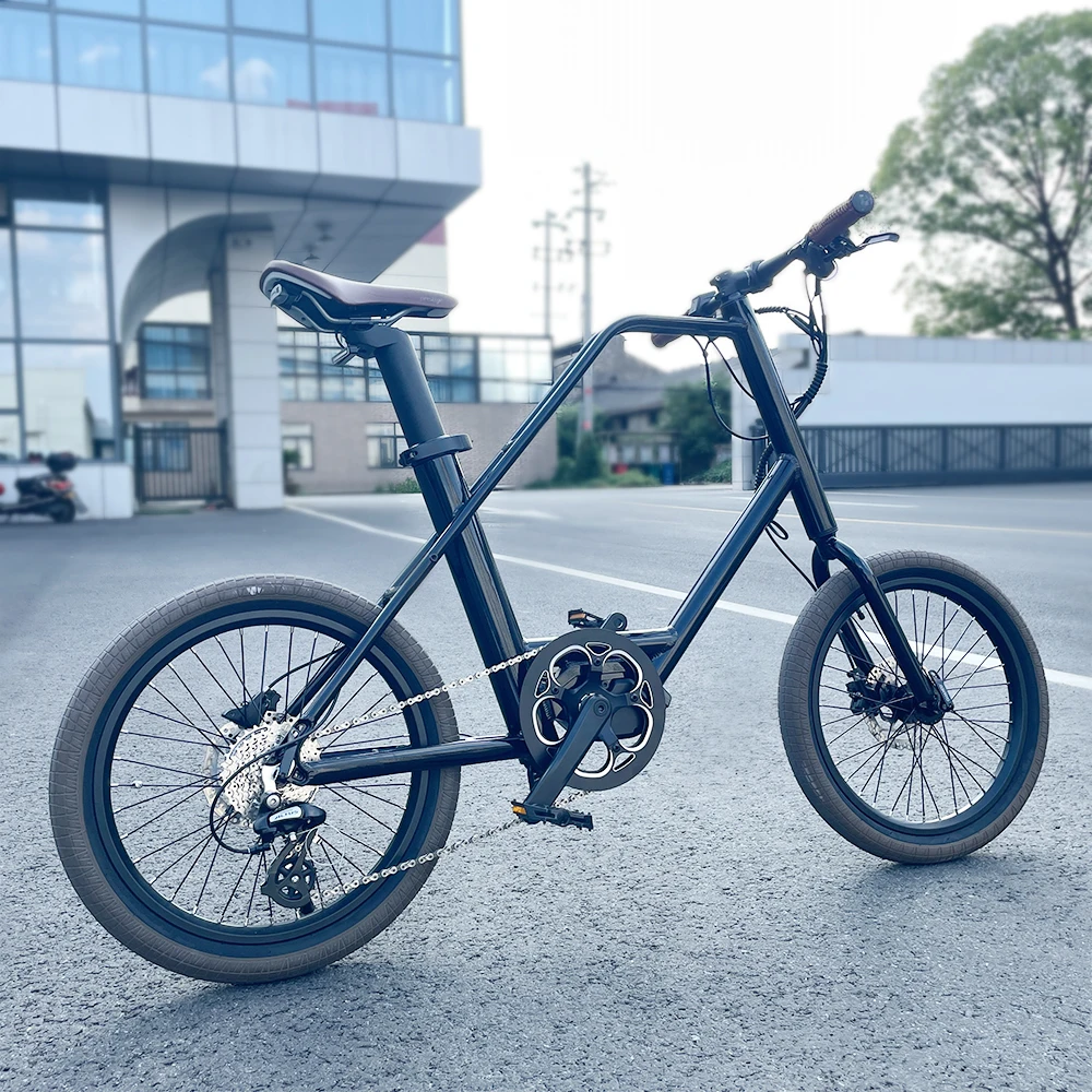 Hoya OEM mid drive motor e BIKE 20 inch step through lightweight 36V 250W adult mini bike e cycle for sale