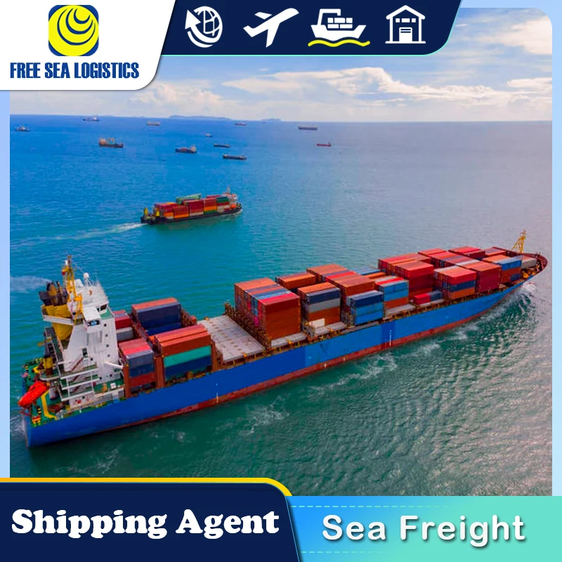 Cheap Fast DDP DDU FCL LCL sea Shipping freight forwarder from China to UAE Oman Saudi Arabia by sea shipping
