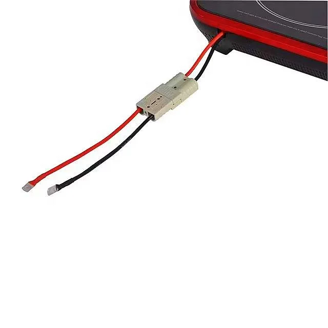 New Single Battery Powered Electric Commercial Solar DC 24V/48V Induction  Cooker Smart Hot Pot Stove