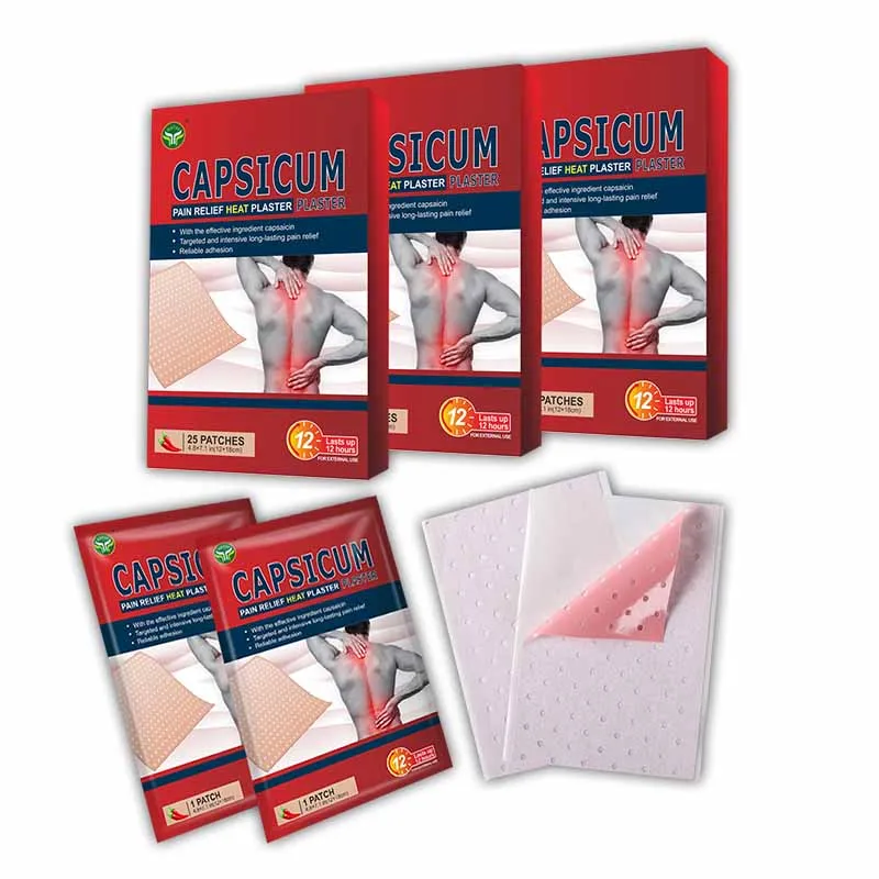 Rehabilitation Therapy Supplies Best Selling Pain Relief Patches Lion Porous Capsicum Plaster
