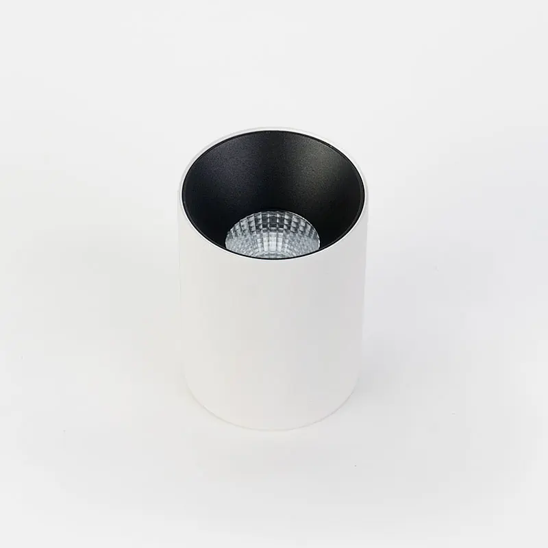 LED Ceiling Downlight 10W Modern Design Ceiling Spotlight For Home Hotel Decoration Ceiling Mounted LED Downlight Fixtures