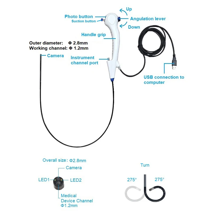 Hot Selling Veterinary Laparoscopy Portable Endoscopy Light Source Bronchoscope Veterinary Equipment
