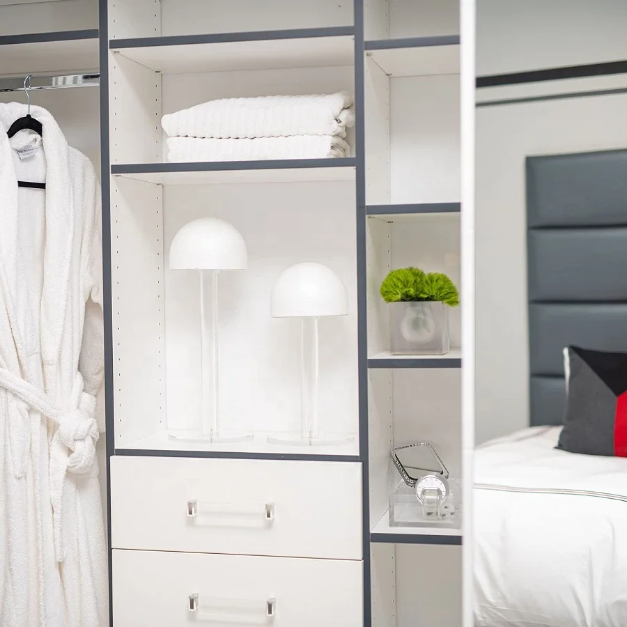 Judaica Lucite Wig Head on Desktop