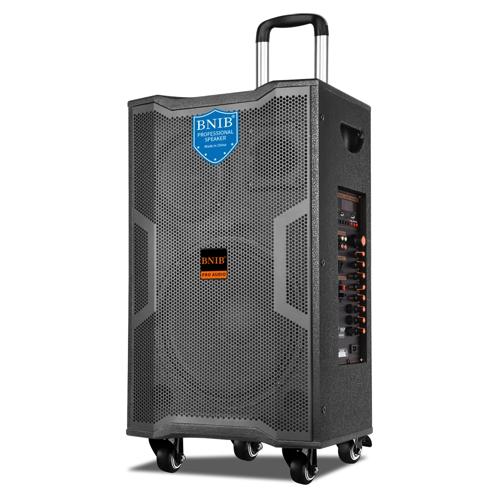 High End China Factory Sound Speakers Outdoor 15 inch Blue-tooth Speaker System OEM Trolley Boombox Battery Speaker With MIC