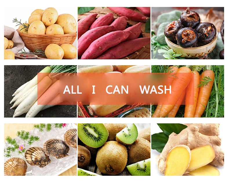 Automatic fruit and vegetable brush washing machine potato peeling machine price automatic manufacturer