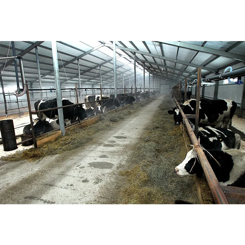 Стоимость готовой стальной конструкции для крупного рогатого скота/стальной навес для молочной фермы