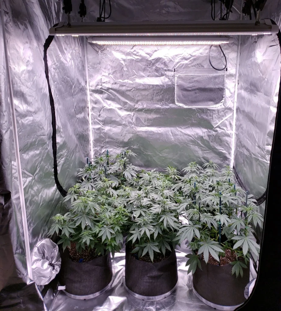 Growbox High-classic waterproof Hydroponic homebox family farming plant grow tent