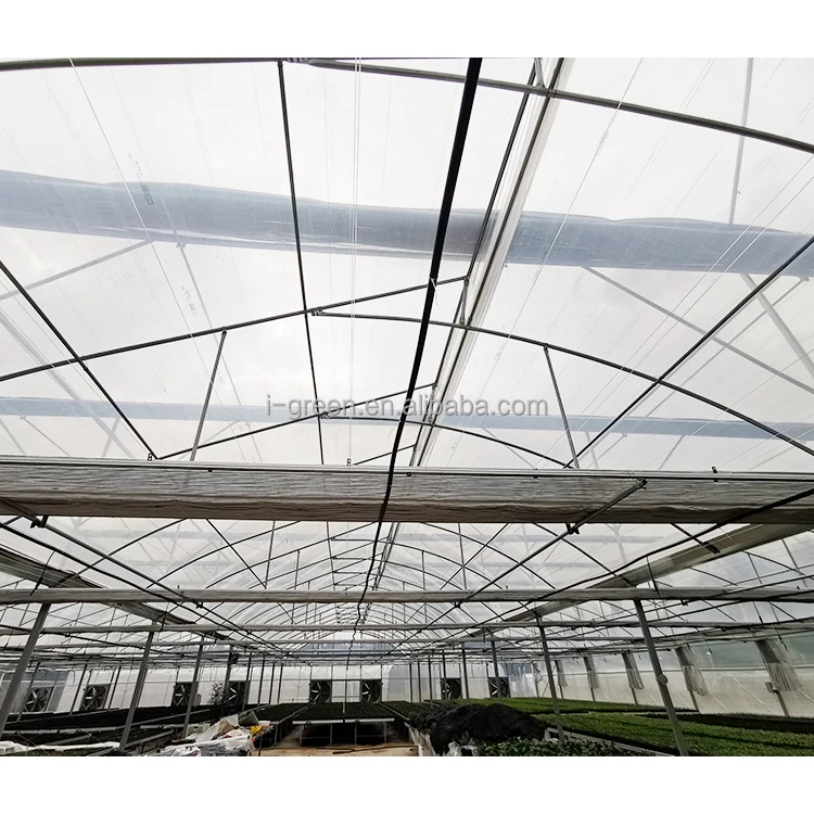 IGREEN chinese style greenhouse aeroponic greenhouse