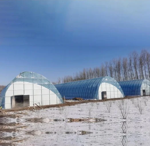 Solar power warm winter tunnel greenhouse