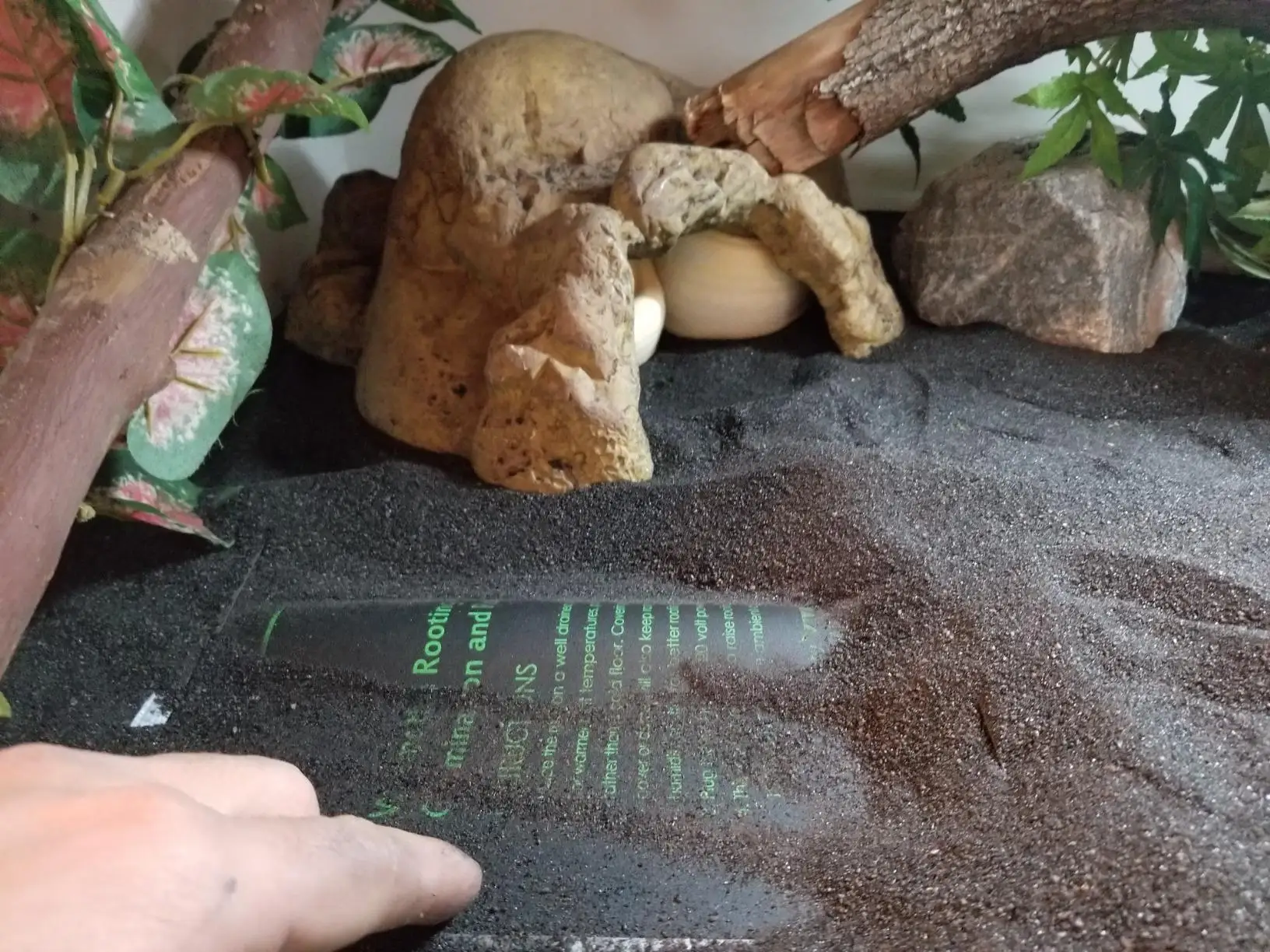 Plant Warm Hydroponic Seed Starting Heat Mat Greenhouse Seedling Heating Pad Seedling Heat Mat with Thermostat