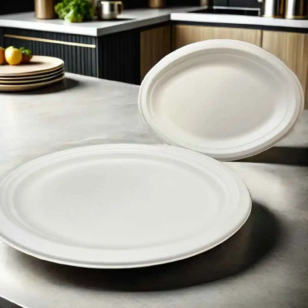 disposable take away food containers