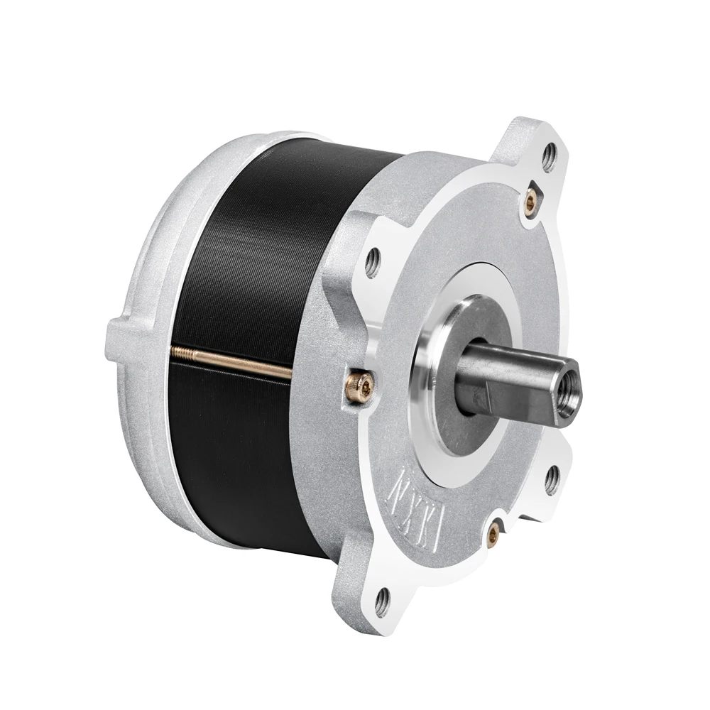 36V 48V 500W low voltage brushless bldc motor