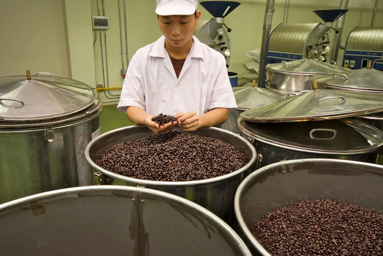 Green Arabica Coffee Bean