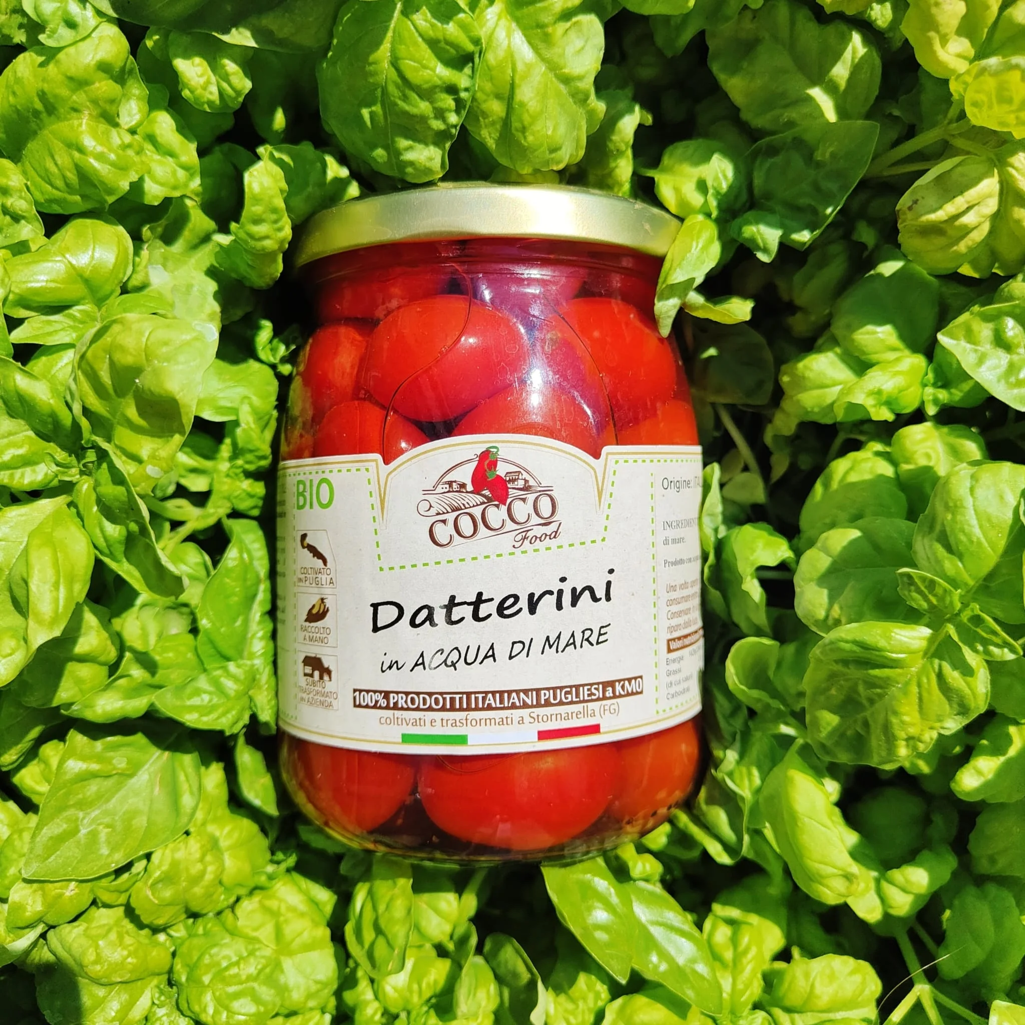 Gourmet Product Mineral Salts And Trace Elements Whole Red Cherry Datterino Tomatoes In Sea Water For Luxury Restaurant