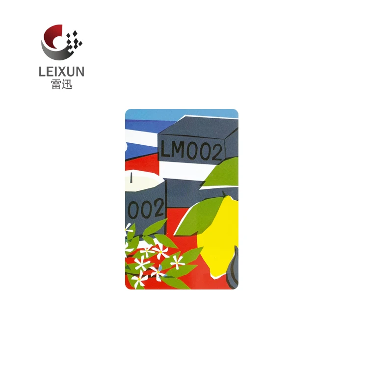 Leixun plastic PVC custom printed RFID hotel key card with chip