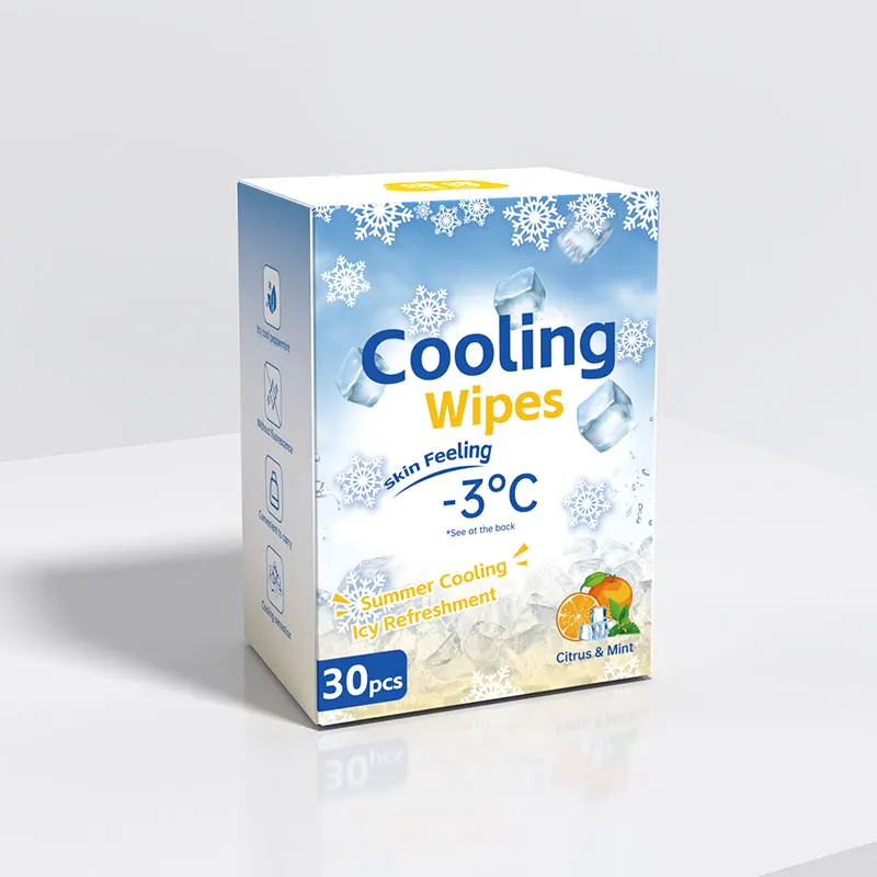 OEM ODM Body Cleaning Wet Wipes Skin Care Wipes Ice Cool Wipes for Adults