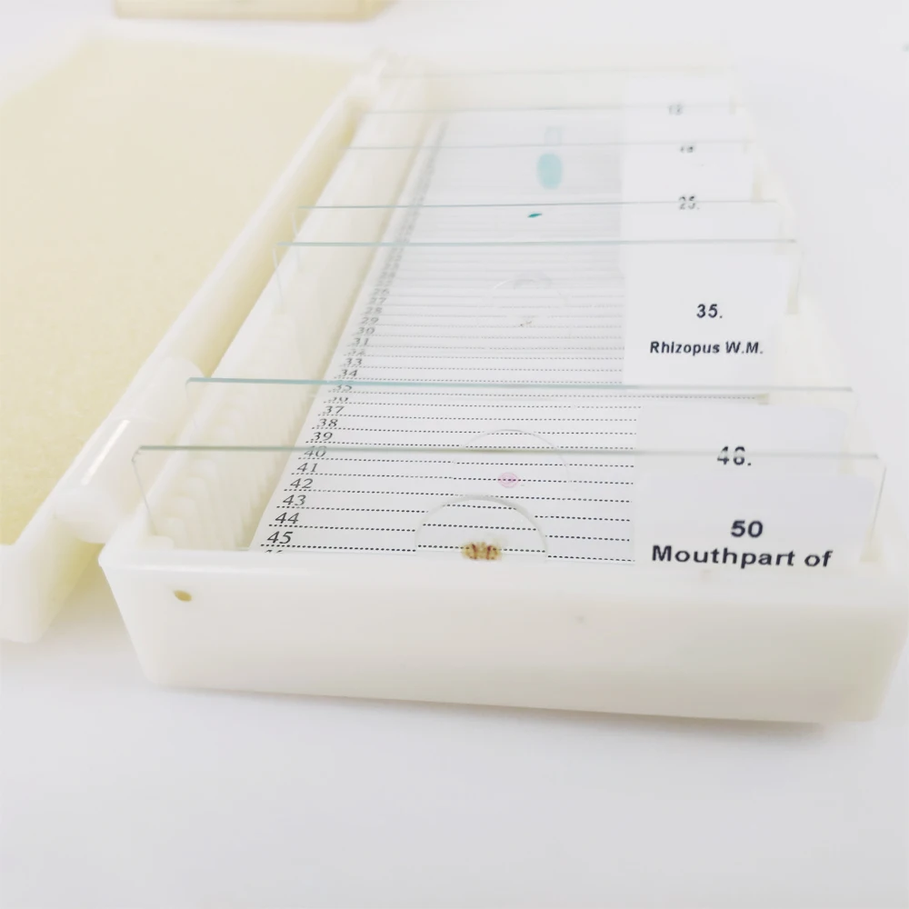 School and Medical Hot Sale Human Chromosome microscope prepared slides