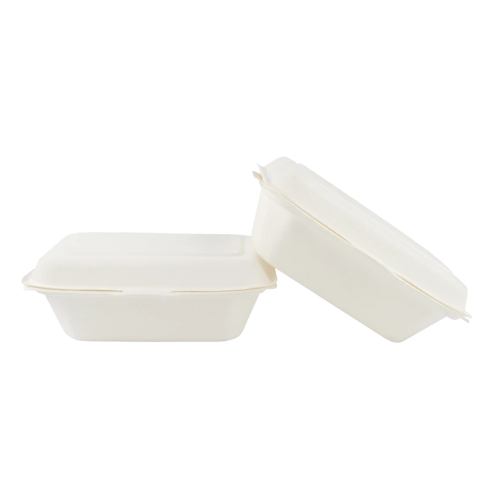 Wholesale Biodegradable Sugarcane Bagasse Lunch Tray Salad Fast Food Box With Lid For Restaurant