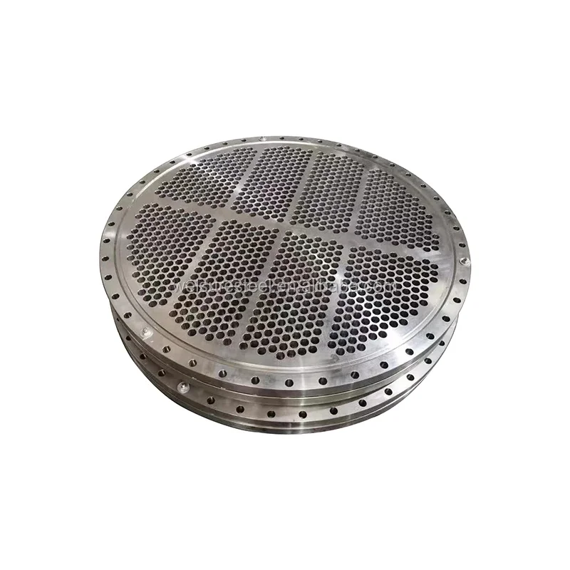 ANSI B16.5/ASTM A105 DIN/GOST/BS Carbon Steel/Stainless Steel FF RF Wn/So/Threaded/Plate/Socket Forged Flange China Manufacture