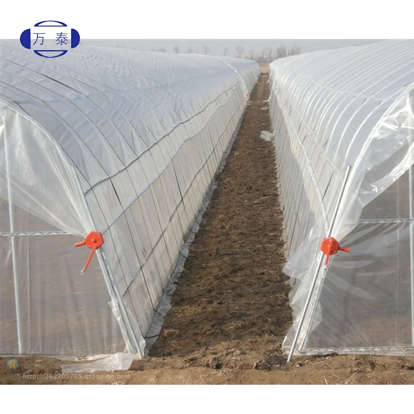 Factory price PO Film Single Span Greenhouse For Agriculture Easy Installation